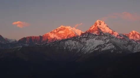 Snow-covered Himalayan peaks lit orange by sunrise, seen above dark forested ridges
